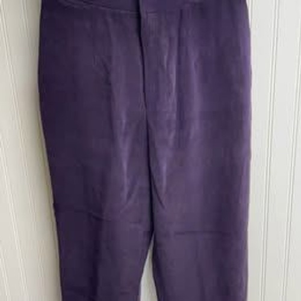 Dana Buchman Petites 100% Silk Purple Pleated Trousers High Rise Size 14P